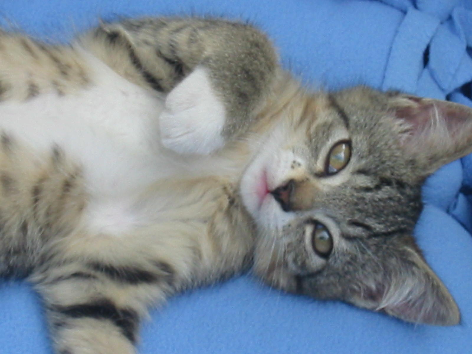 breezer016.jpg