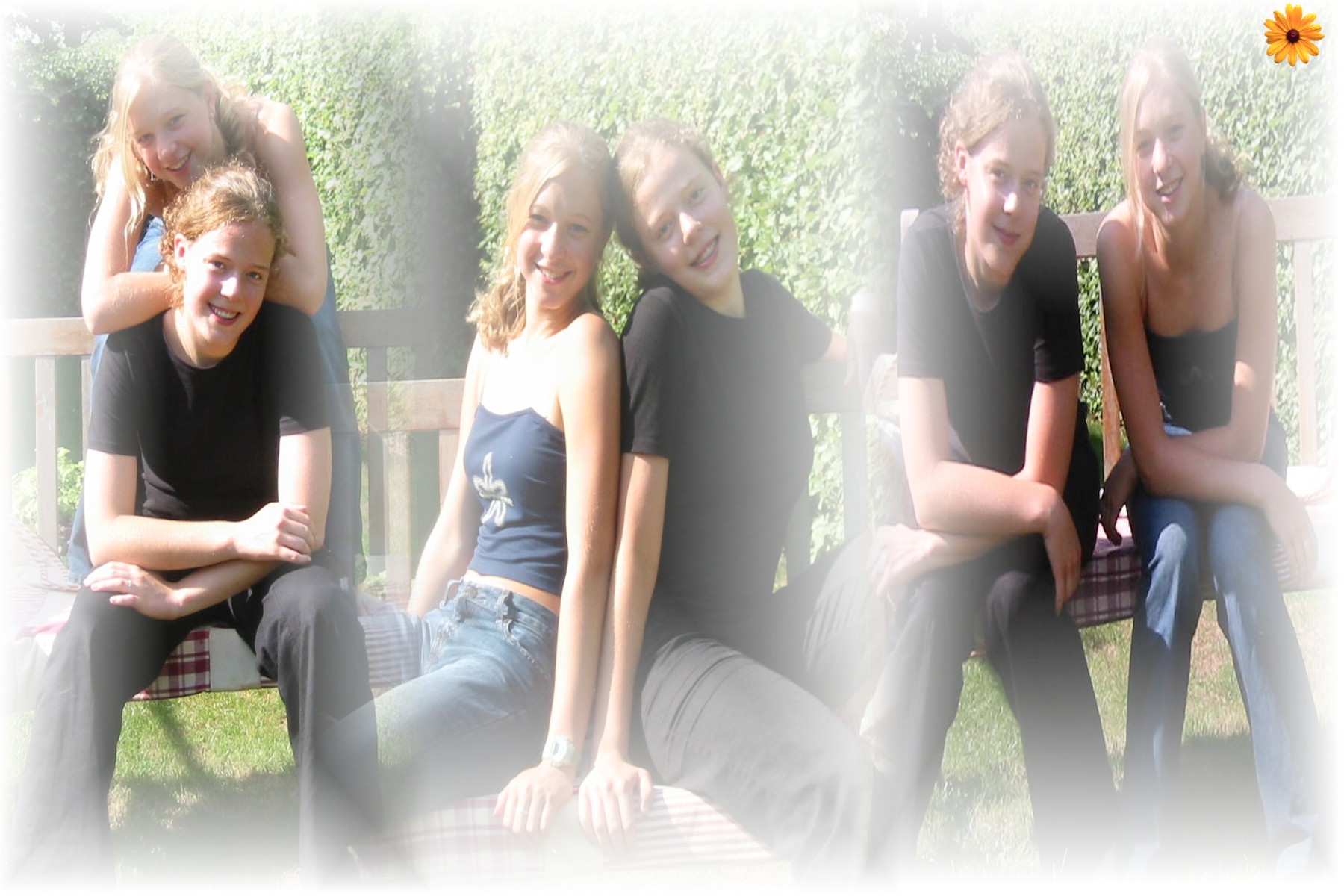 collage4.jpg